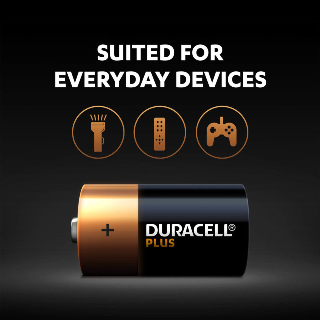 Duracell Plus D LR20 Batteries - 2 Pack